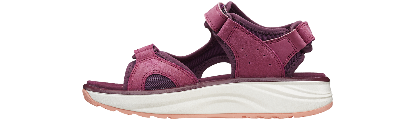 Komodo violet