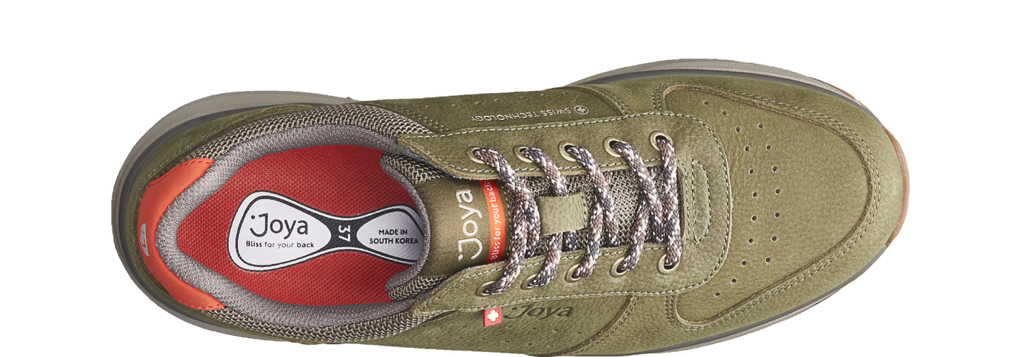 Dynamo Classic vert