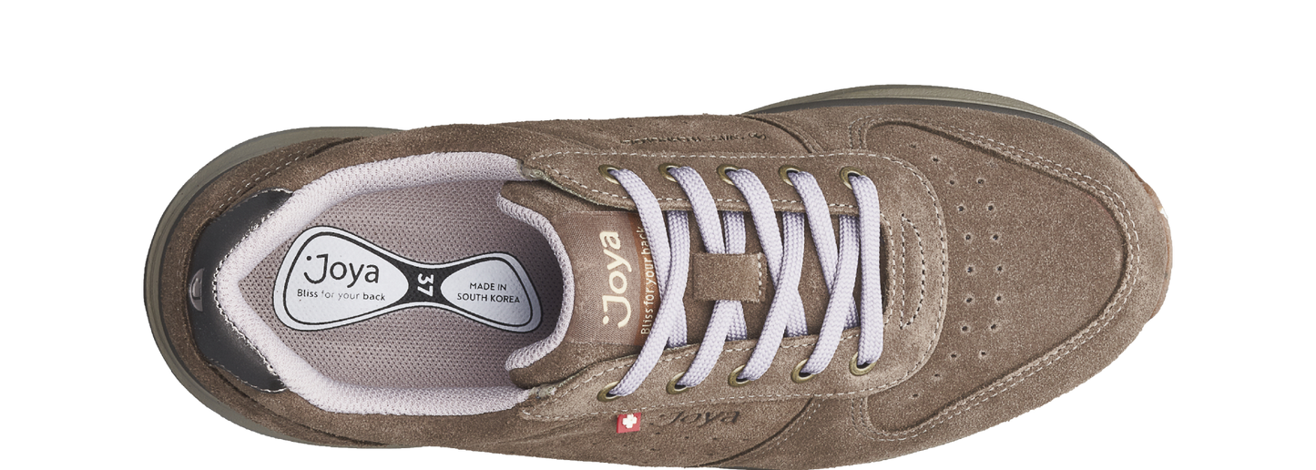Dynamo Classic braun