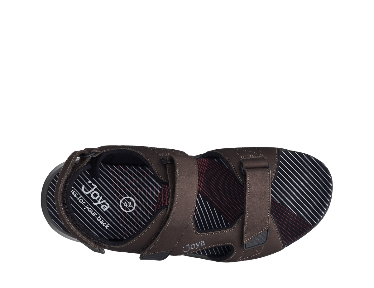 Alexander Dark Brown