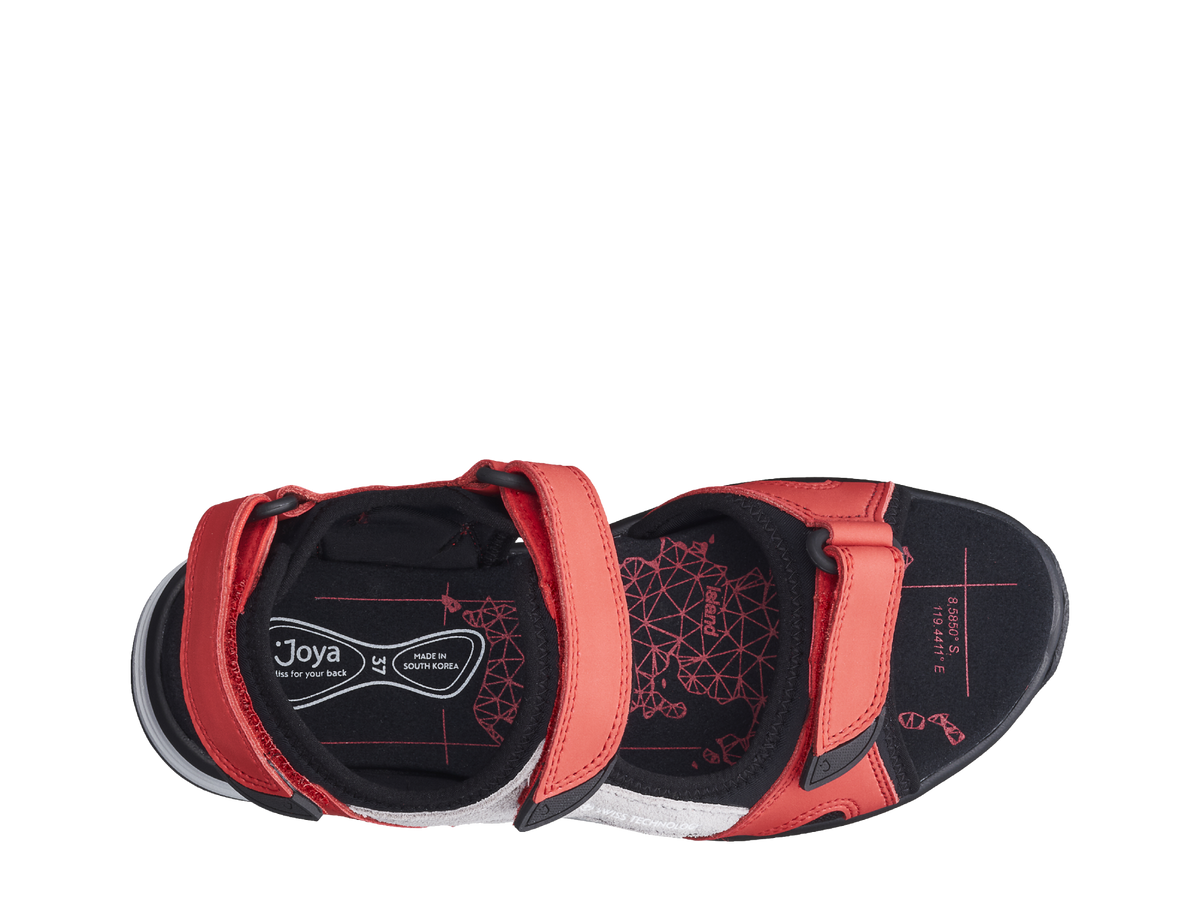 Komodo Red
