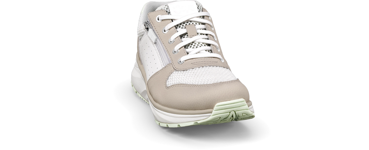 Dynamo Zip white-green